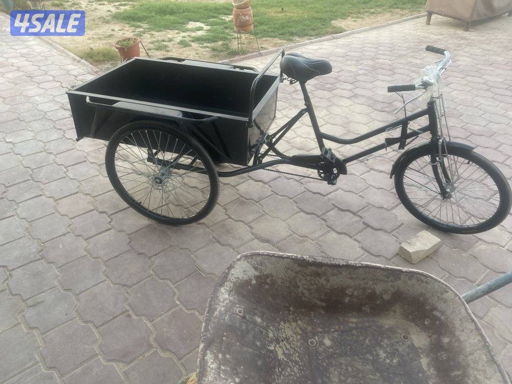 قواري حوض جمله وتفريد5