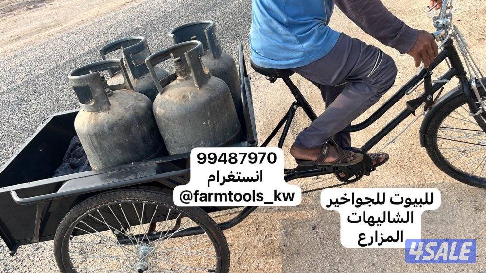 قواري حوض جمله وتفريد12