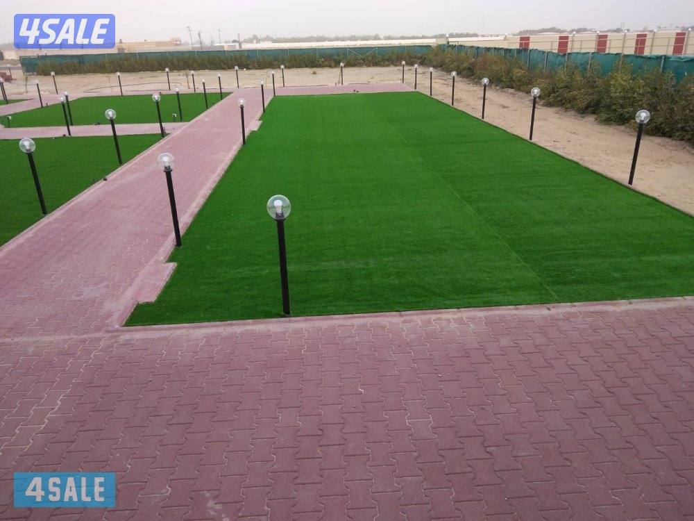 ثيل عشب تيل صناعي2