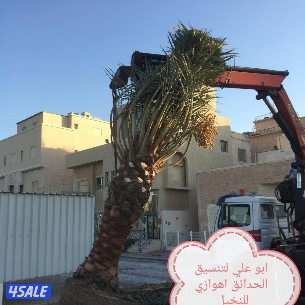 ثيل عشب تيل صناعي3