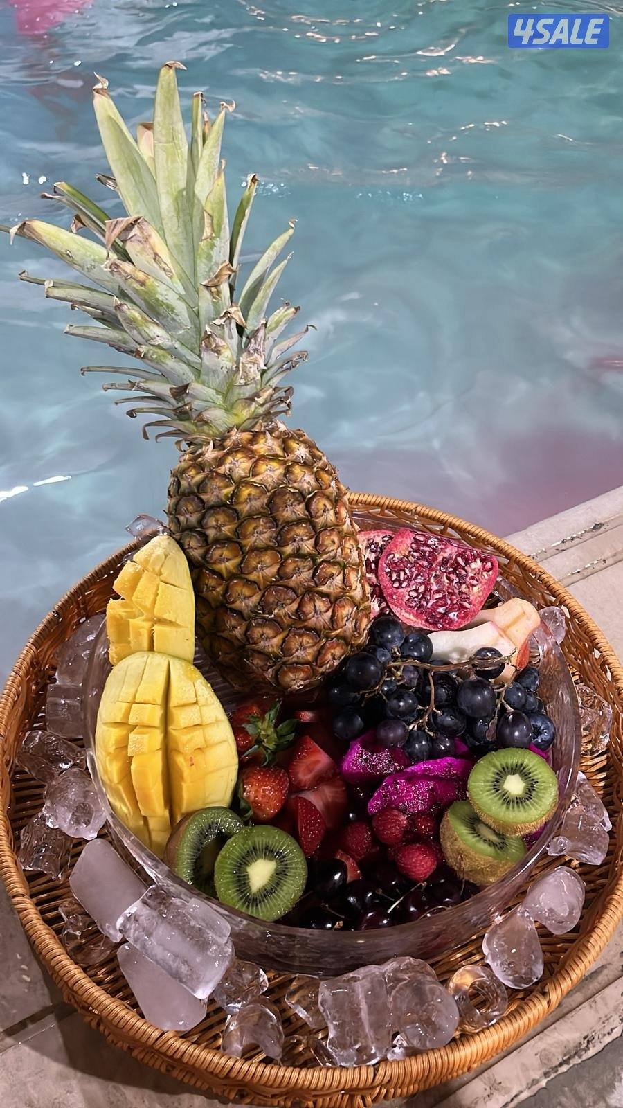 استراحه للايجار10