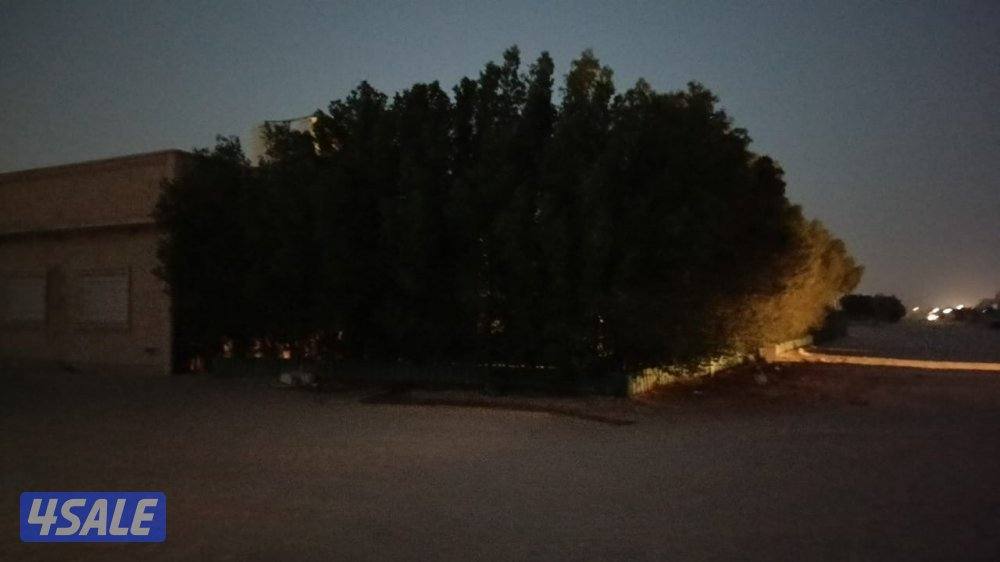 للبيع جاخور في كبد مساحته ١٢٥٠ متر قطعه ١٣ ع زاويه1