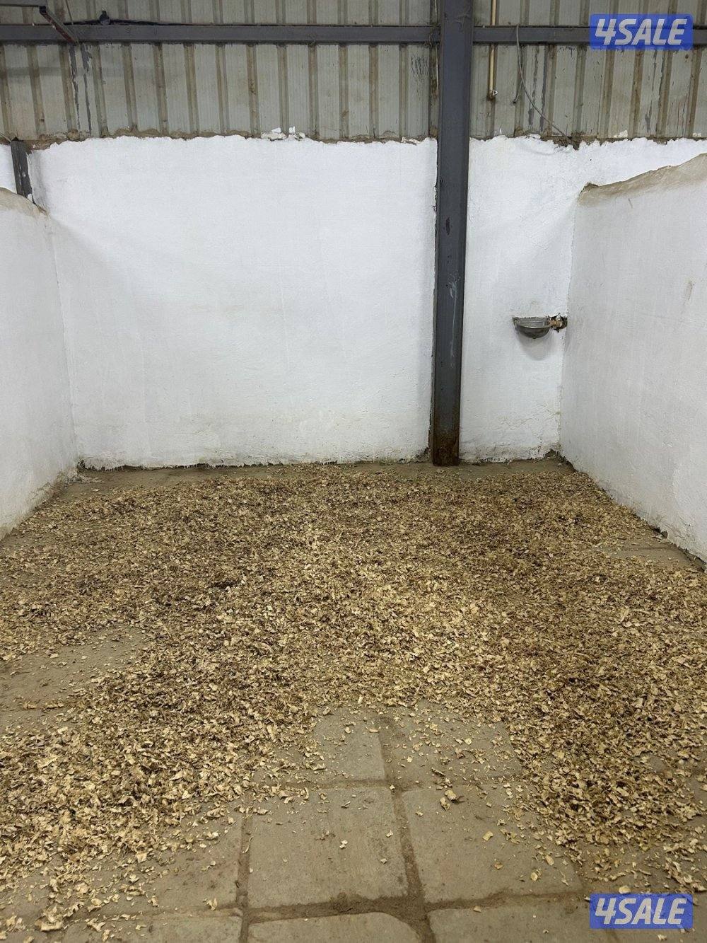 (((مربط ومدرسه Hk)))0