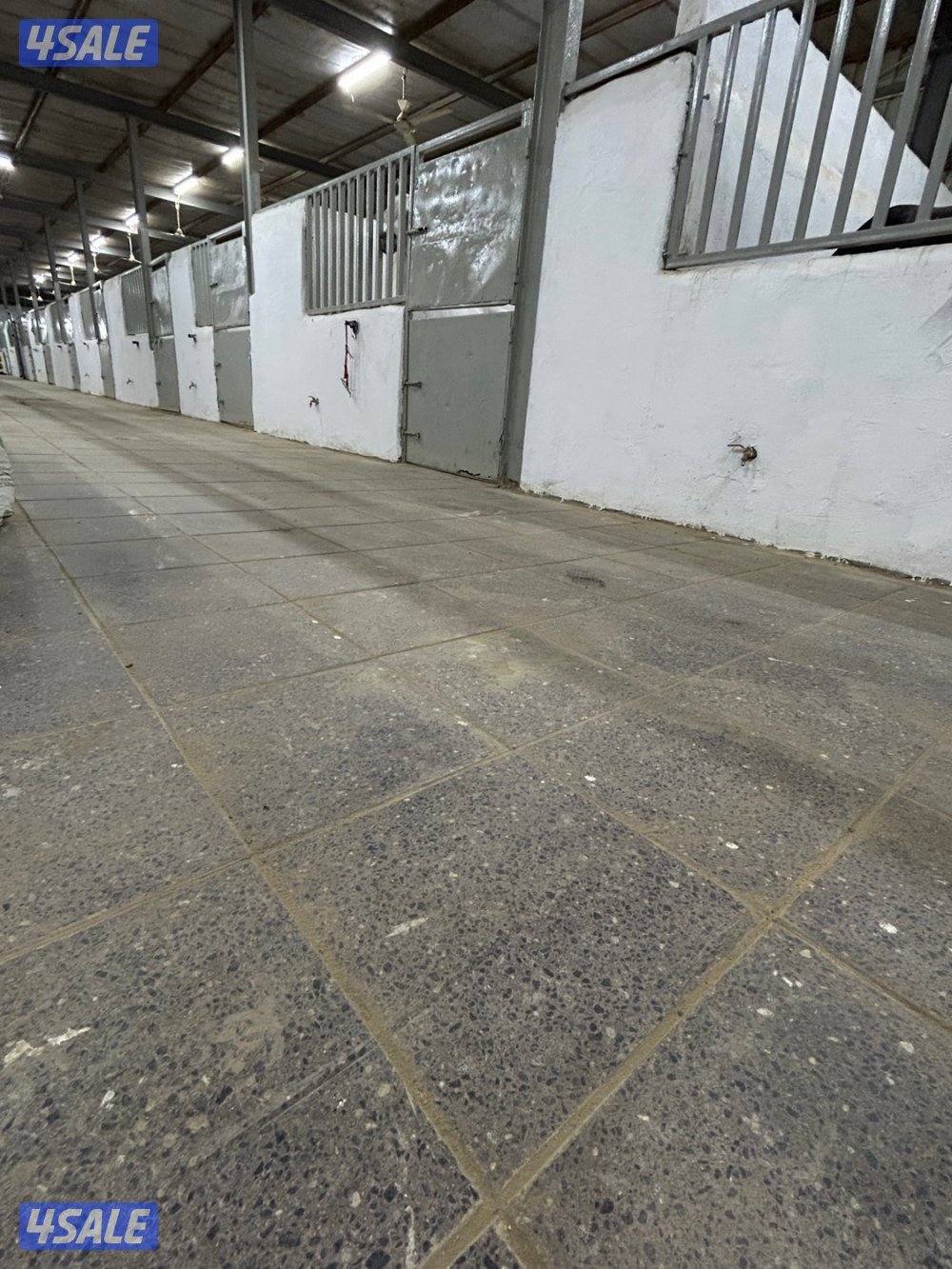 (((مربط ومدرسه Hk)))1