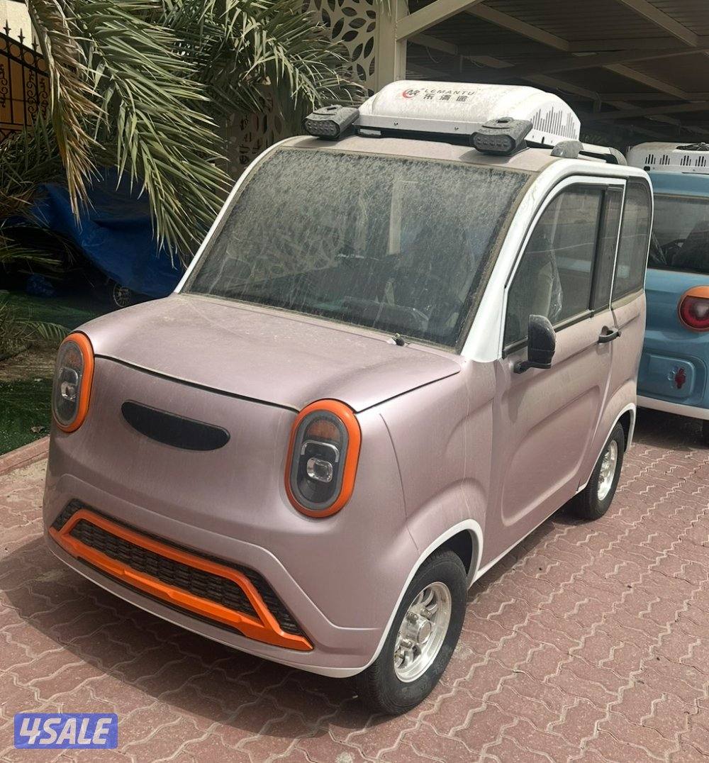 سيارات كهربائية (غولف كارت)6