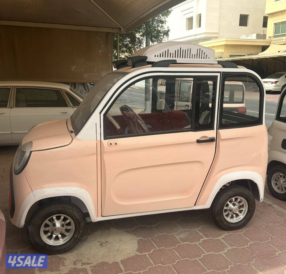 سيارات كهربائية (غولف كارت)8