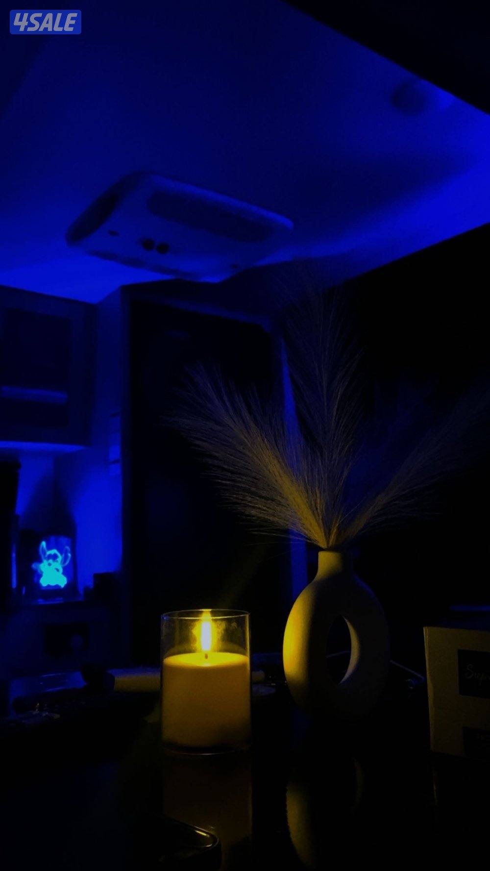 كشتة للايجار الخيران4