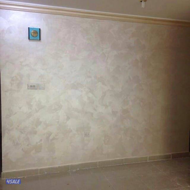 اصباغ ابو يوسف صبغ الماع صبغ جوتن بدون ريحة صبغ عادي5