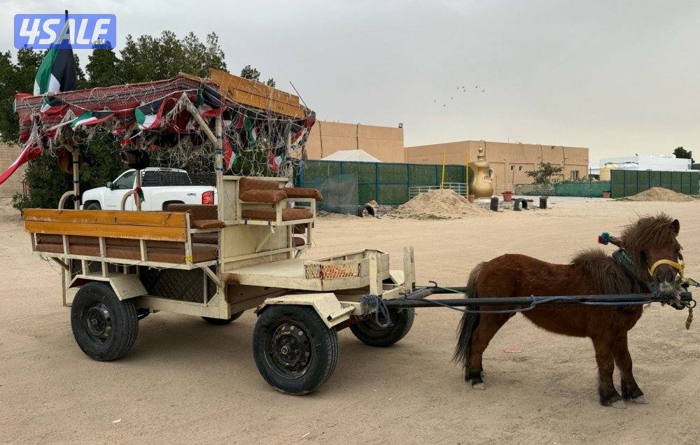 بونيات وعربانات6