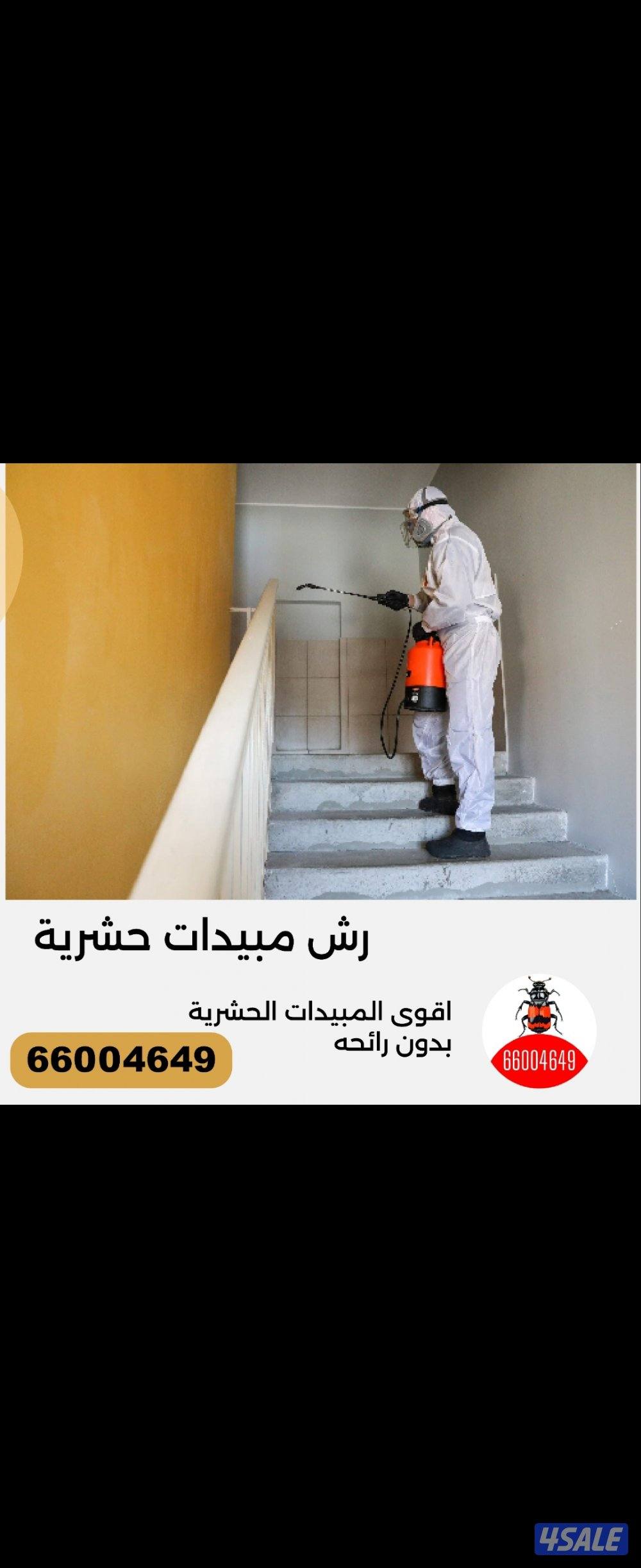 مكافحه حشرات رش الحشرات عجينه الصراصير مكافحة حشرات زهيوي1