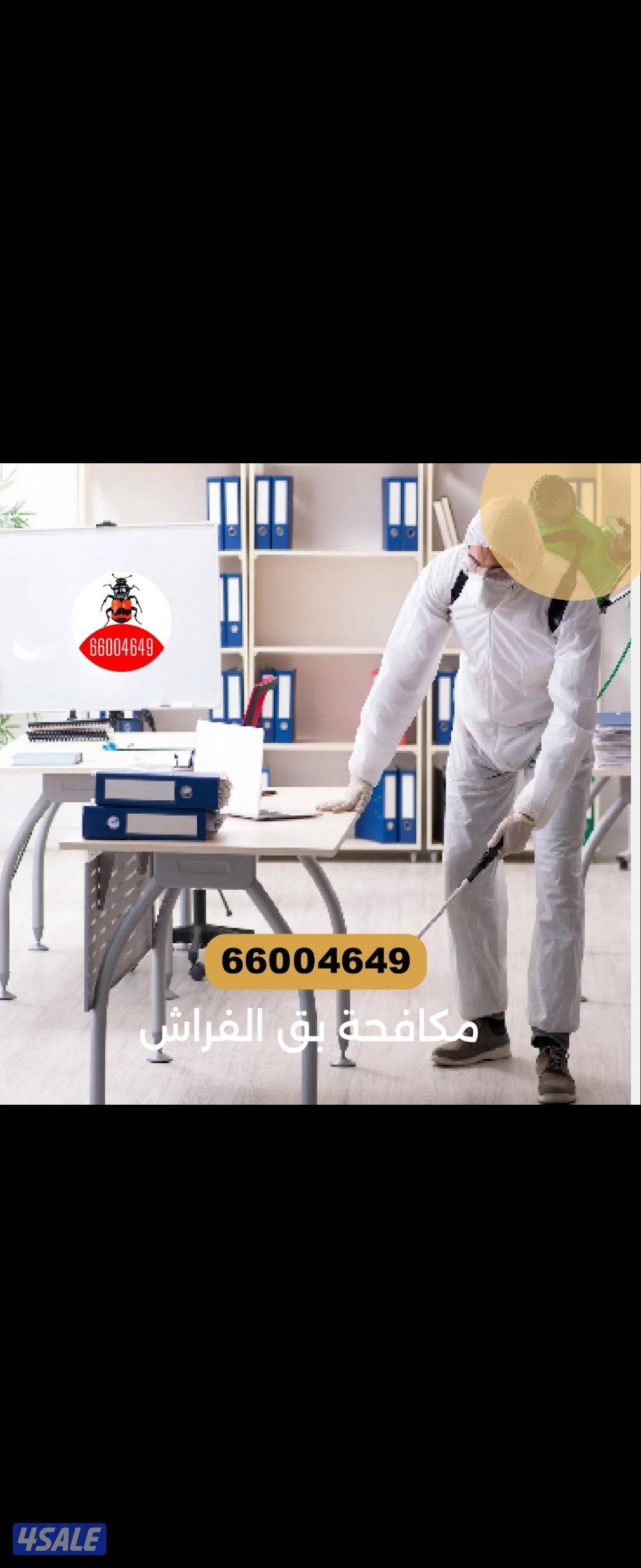 مكافحه حشرات رش الحشرات عجينه الصراصير مكافحة حشرات زهيوي2