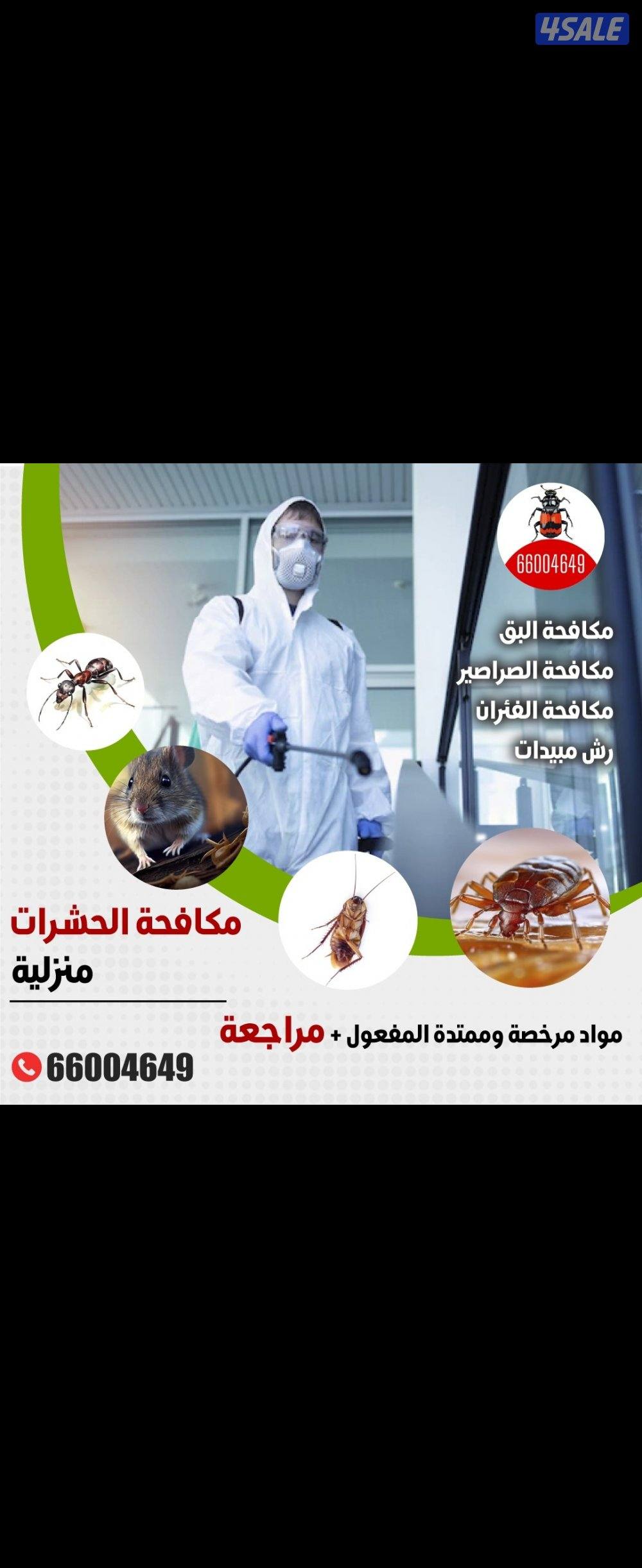 مكافحه حشرات رش الحشرات عجينه الصراصير مكافحة حشرات زهيوي3