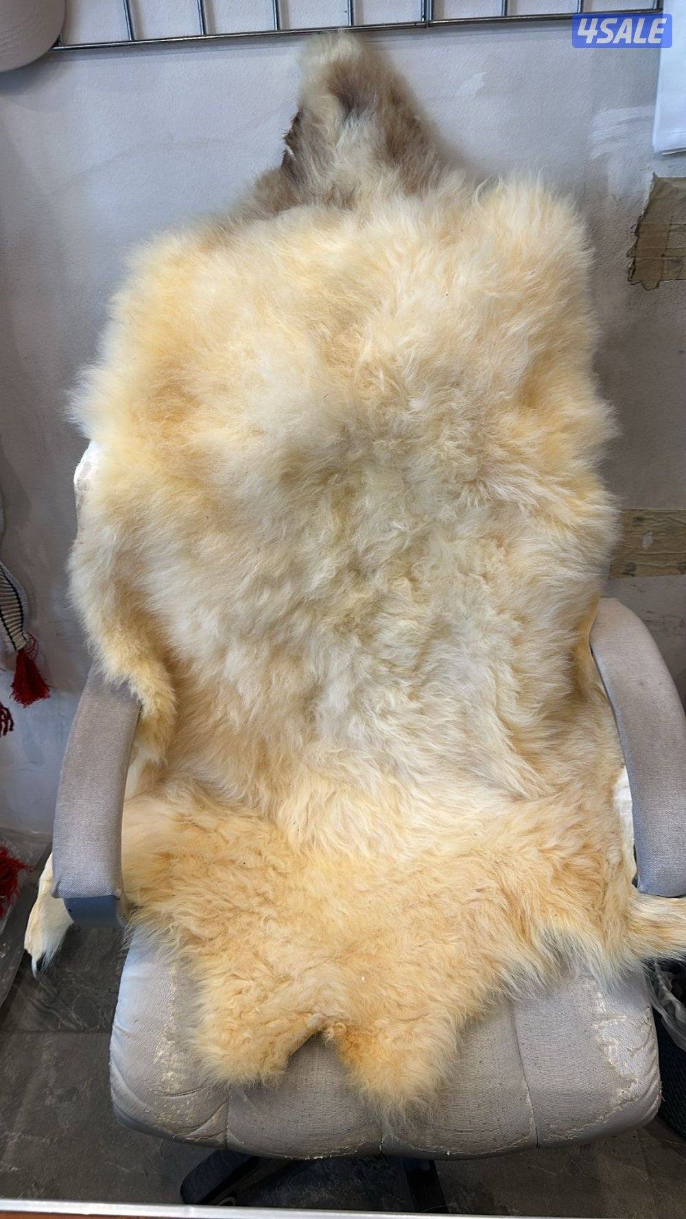 اجله للابل جميع الانواع بسعار ممتازه8