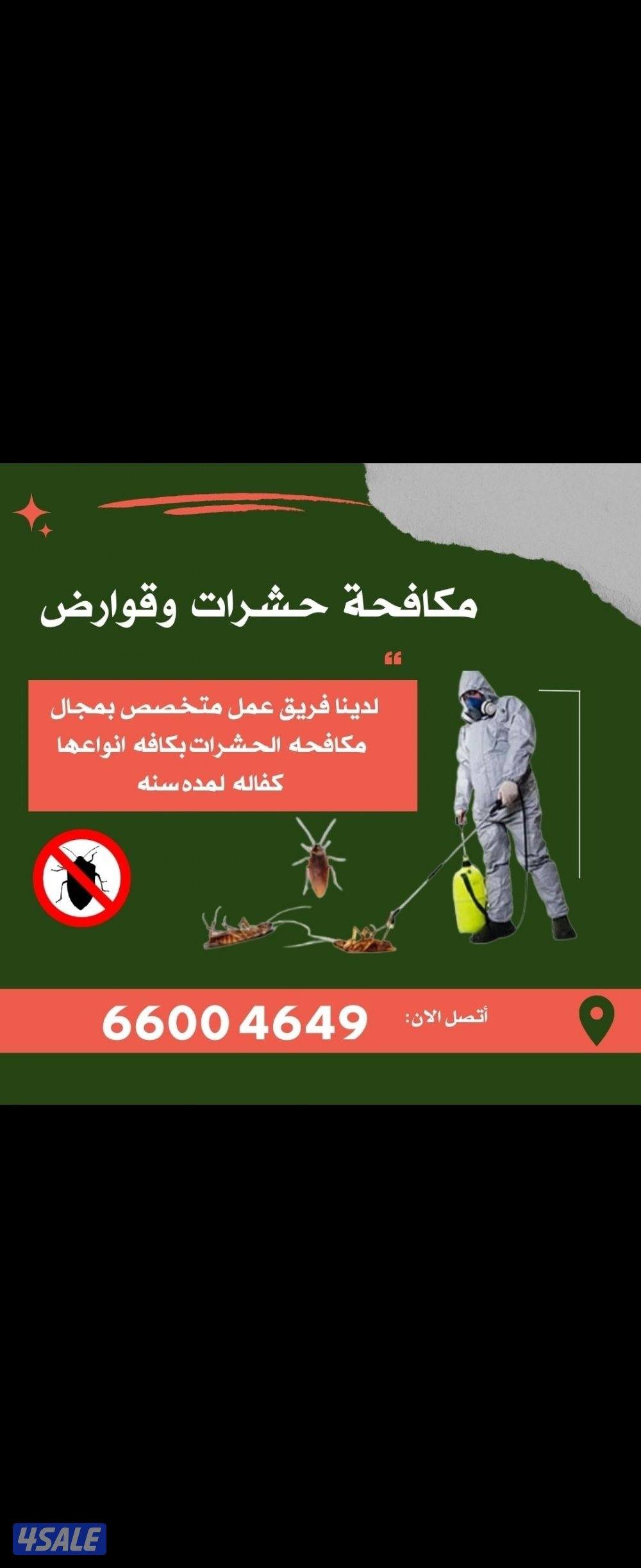 رش حشرات#رش#حشرات#حشرات#رش#الحشرات#رش#حشرات حشرات الحشرات3