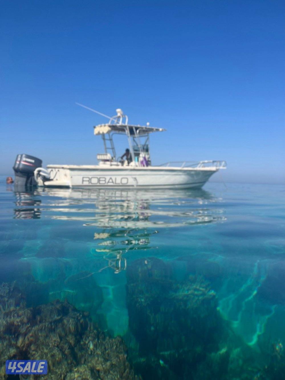 للبيع روبالو0