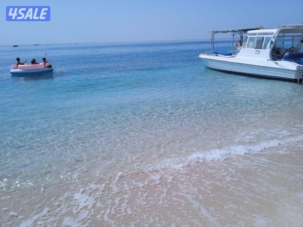 طراد للايجار8