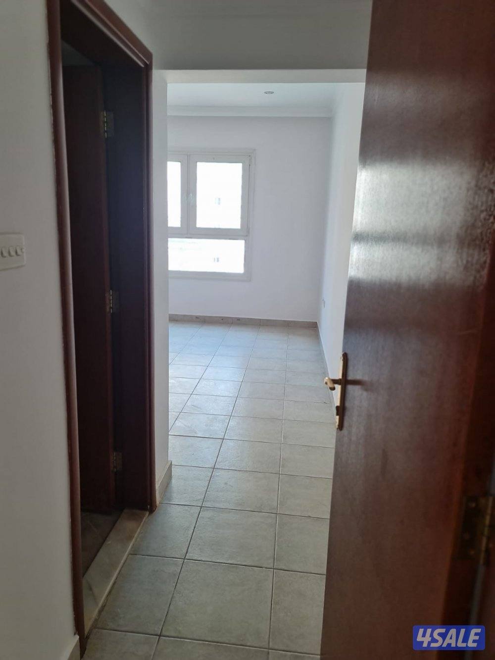 شقة للايجار بالشعب قطعه ٨ الشارع الذهبي4