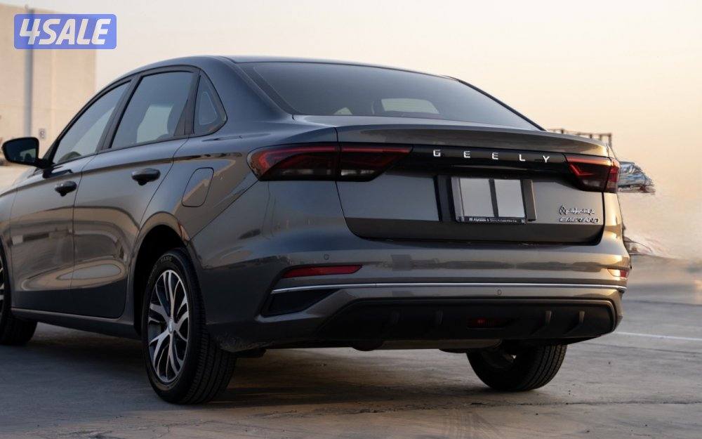 خالي الأصباغ و المعجون 20234