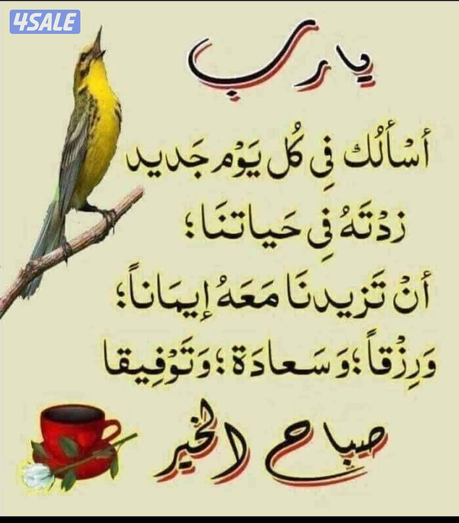 يوجد لدينا سراب للتخزين المساحه 1000. ومحل . ومكاتب للايجار بالري0