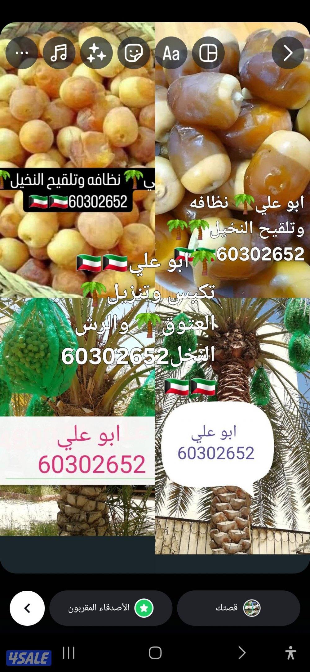 نظافه النخيل 🌴 خبره 20 عام قص 🎄جميع الأشجار 🌲أسعار مغريه ابو علي 🌴11