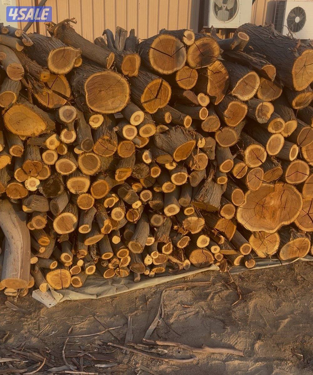 يتوفر لدينا حطب صغير وكبير ( شبوب - المخيمات - للاعراس )3