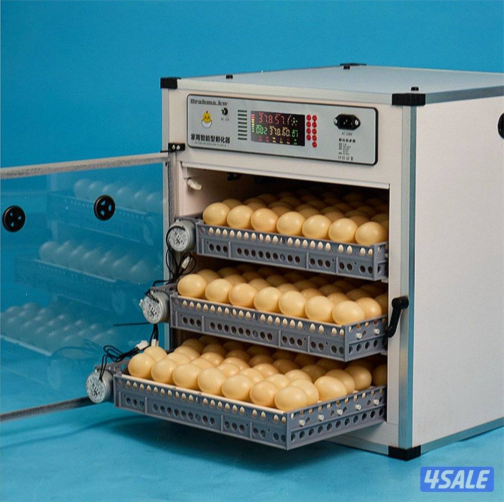 فقاسات براهما1