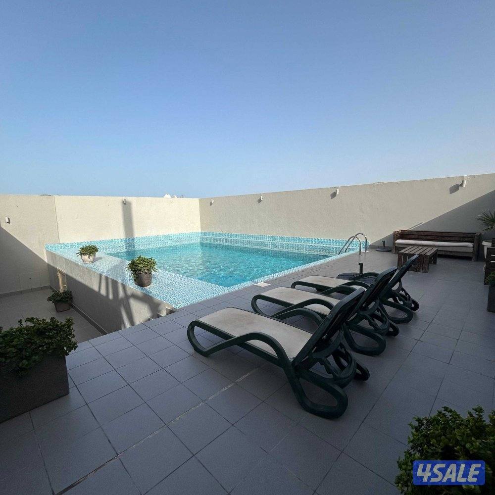 شقة سرداب مع حوش للإيجار في سلوى قطعة 1010