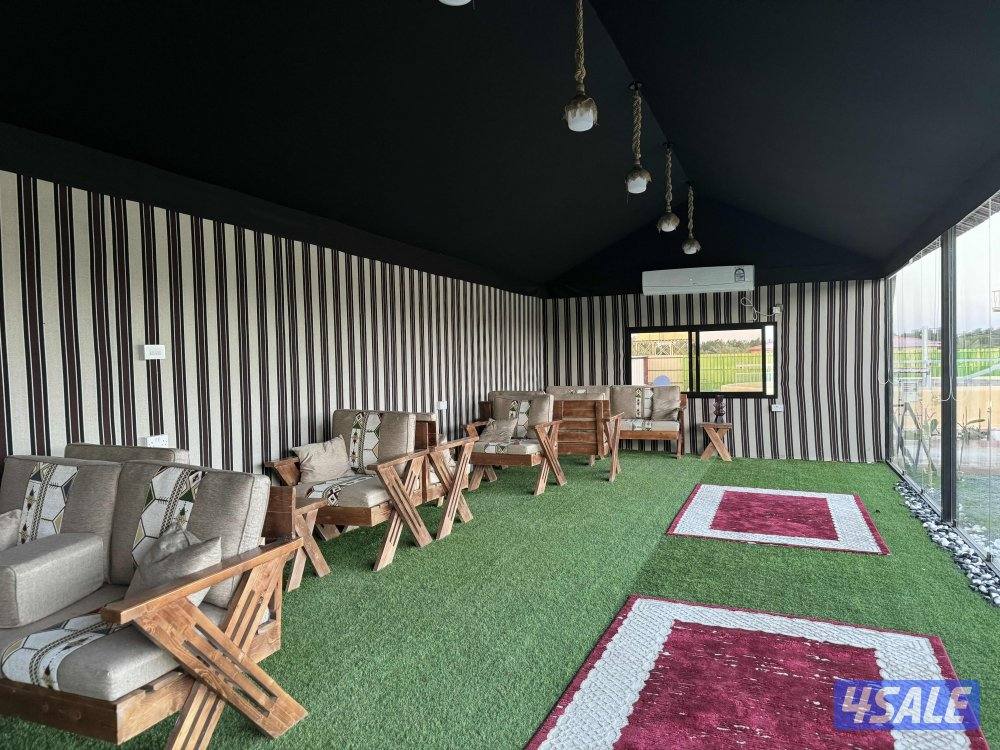 مربط وتدريب ركوب2