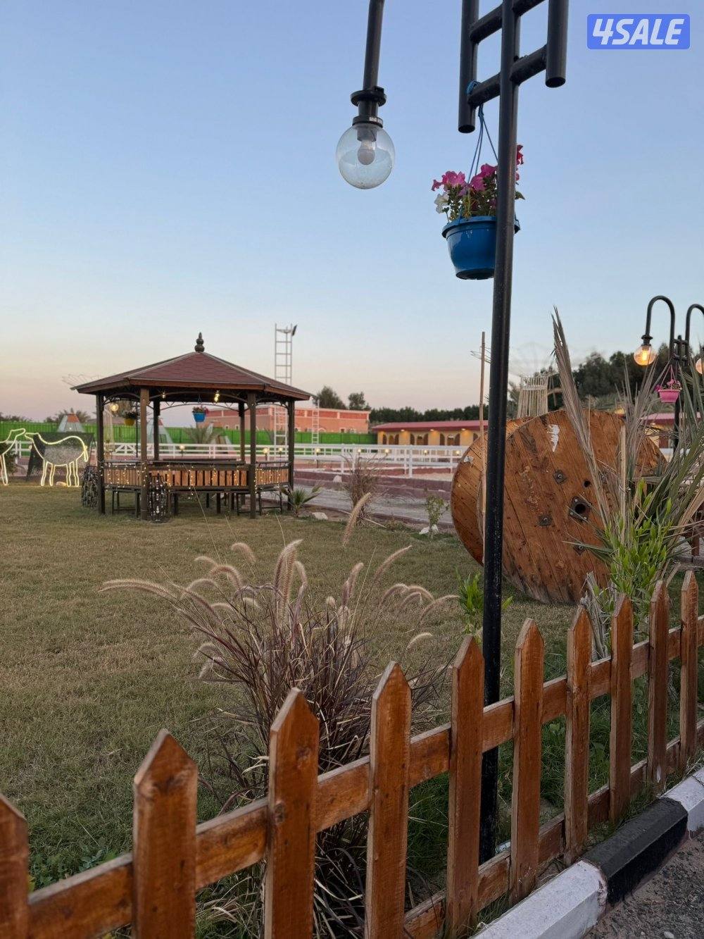 مربط وتدريب ركوب3