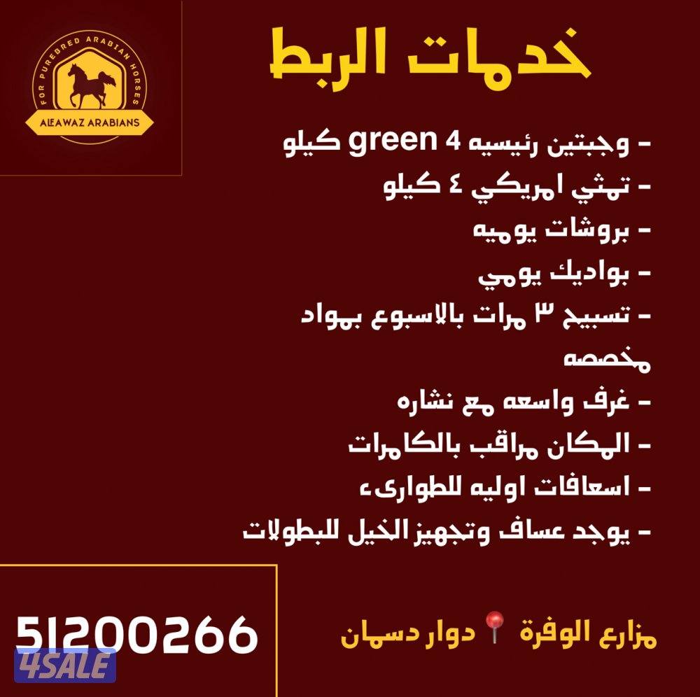 مربط وتدريب ركوب4