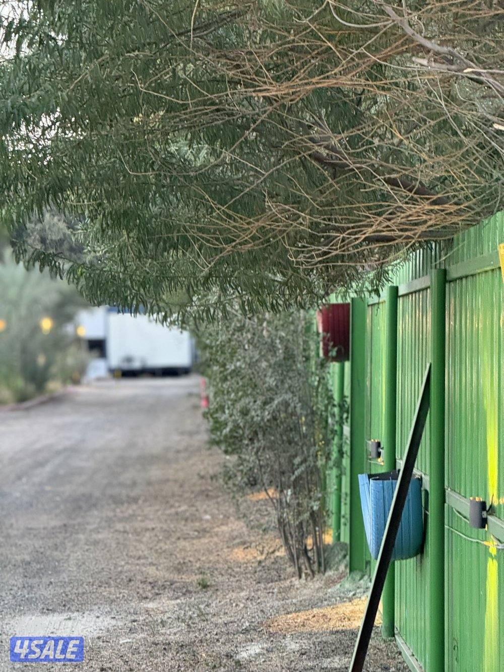 مربط وتدريب ركوب5