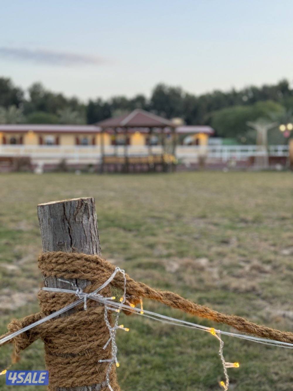 مربط وتدريب ركوب8