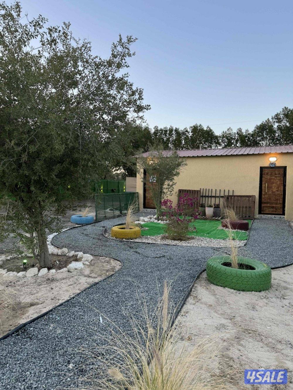 مربط وتدريب ركوب9