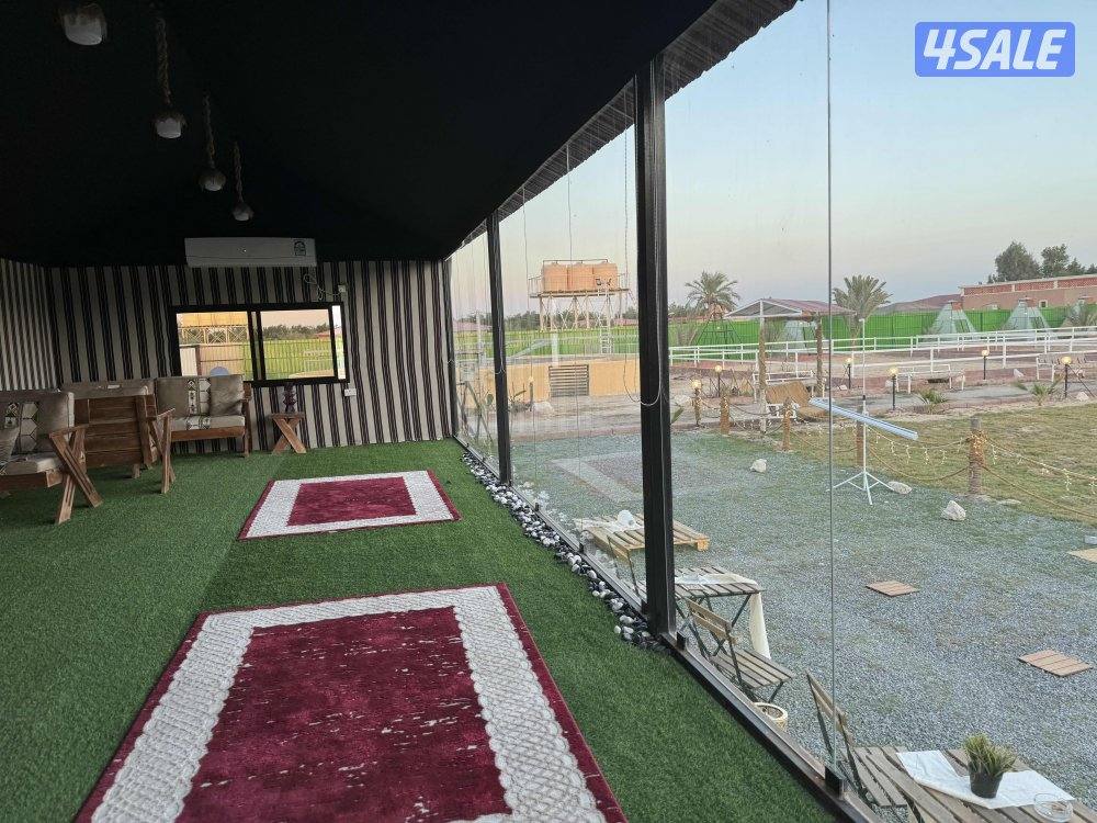 مربط وتدريب ركوب11