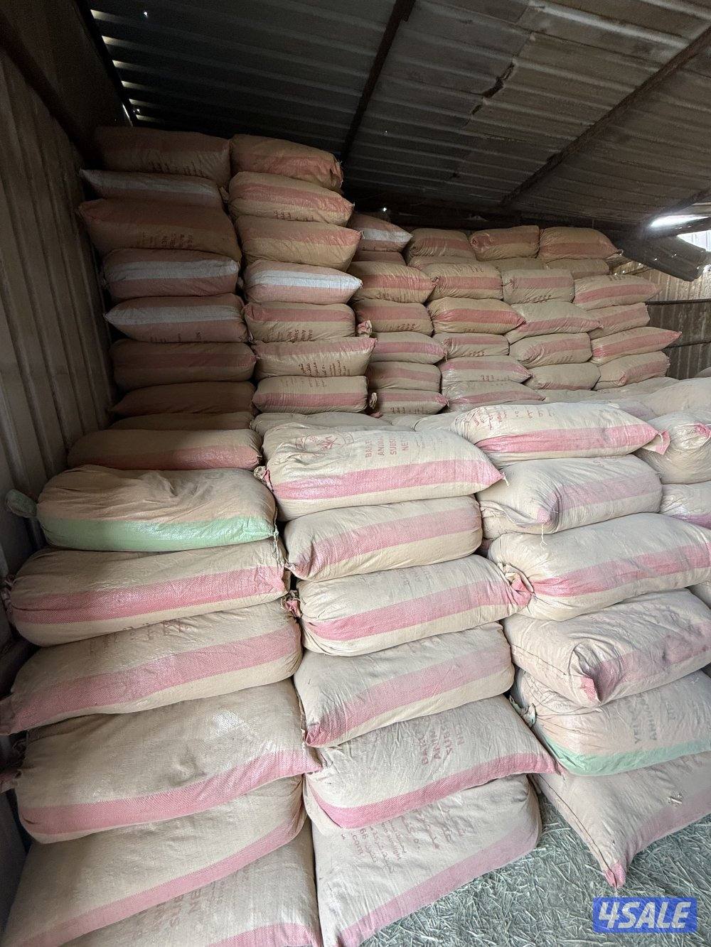 سعف نخيل مطحون1