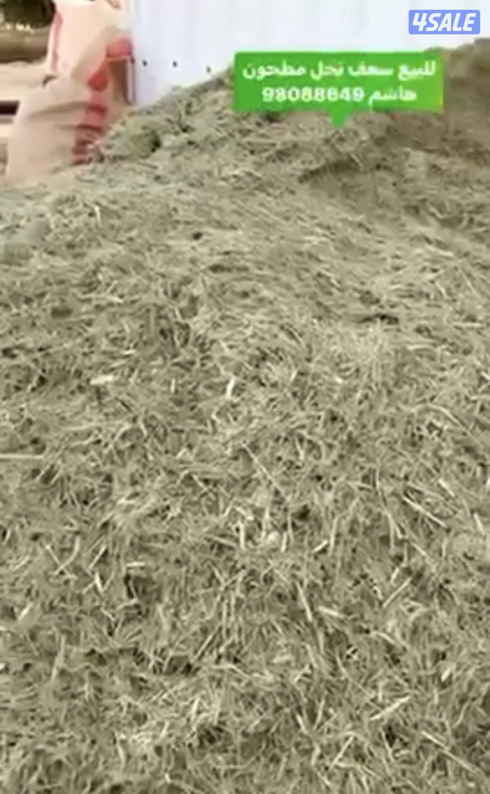 سعف نخيل مطحون3