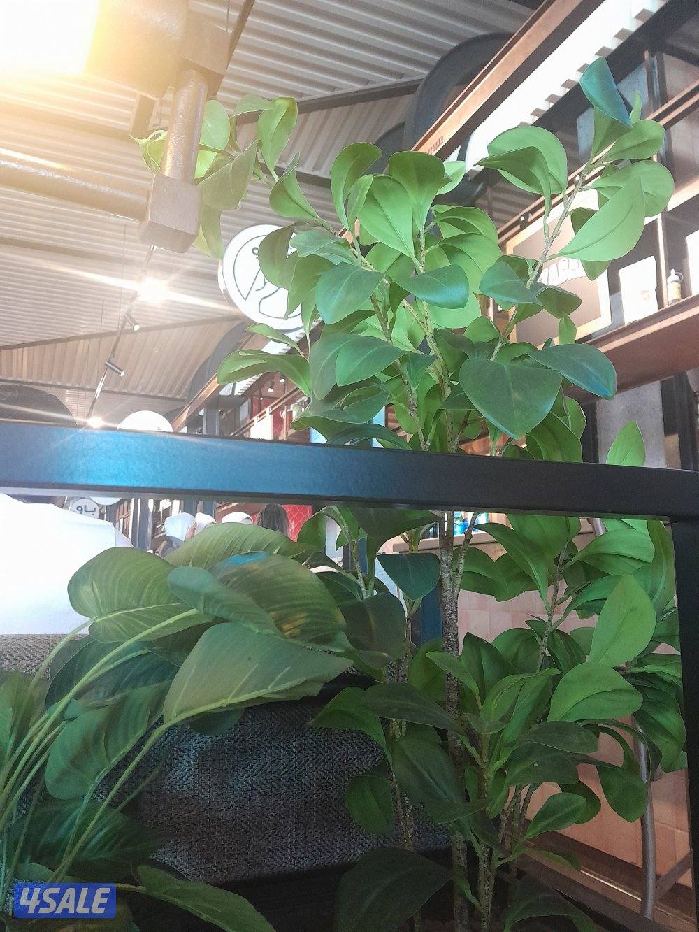 أبحث عن عمل في مجال الإدارة و التصوير و المحاسبة0