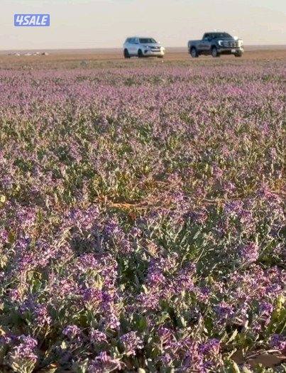 مطلوب غرفه سكن عامل0