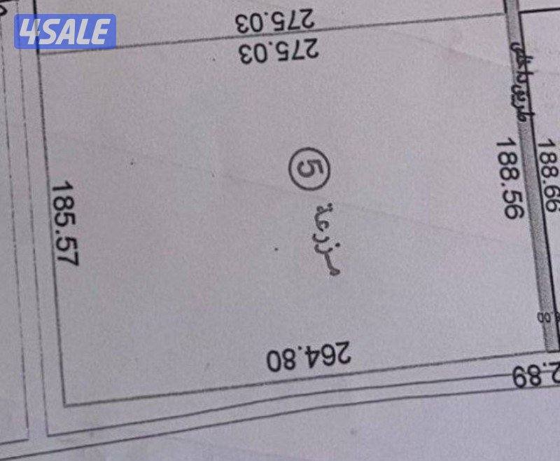 لبيع مزرعه0