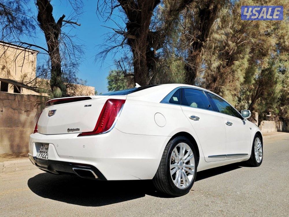 اعلى درجه 2019 XTS2