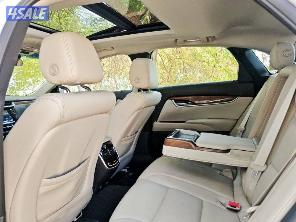 اعلى درجه 2019 XTS12