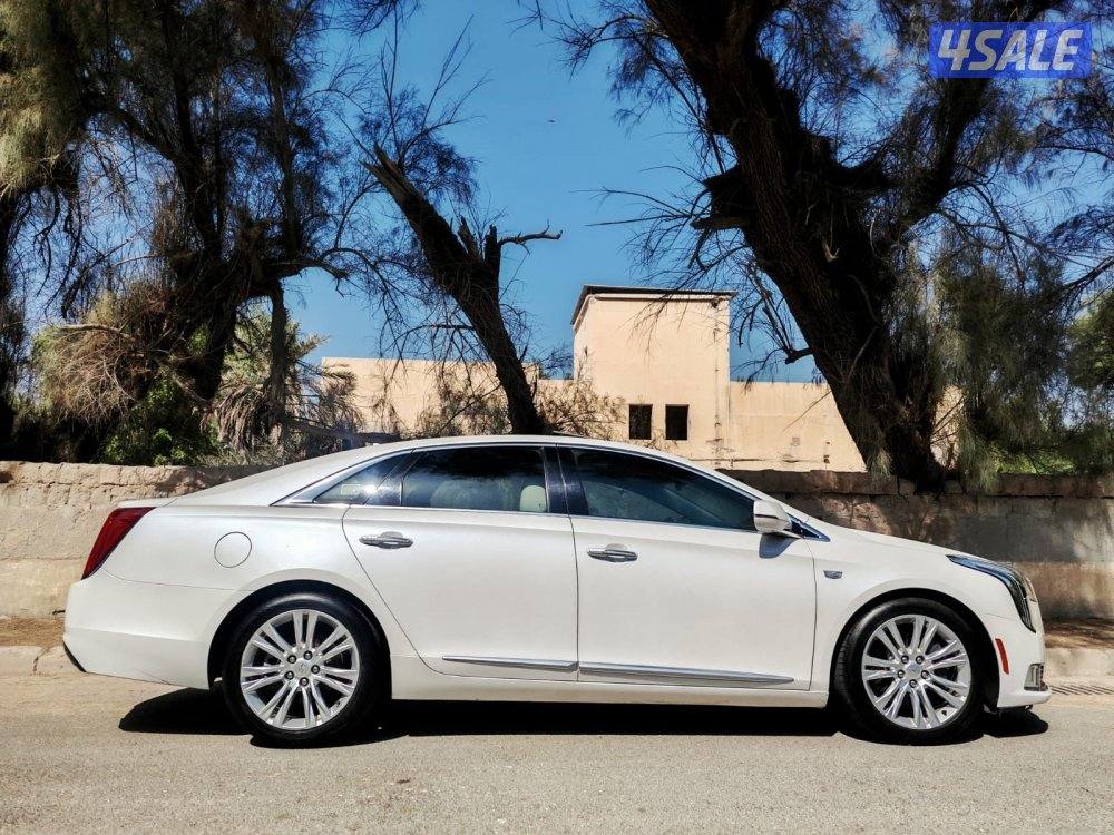 اعلى درجه 2019 XTS5