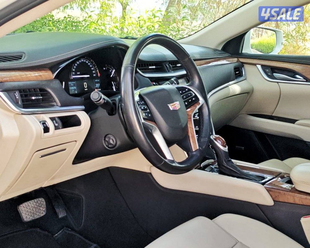 اعلى درجه 2019 XTS11