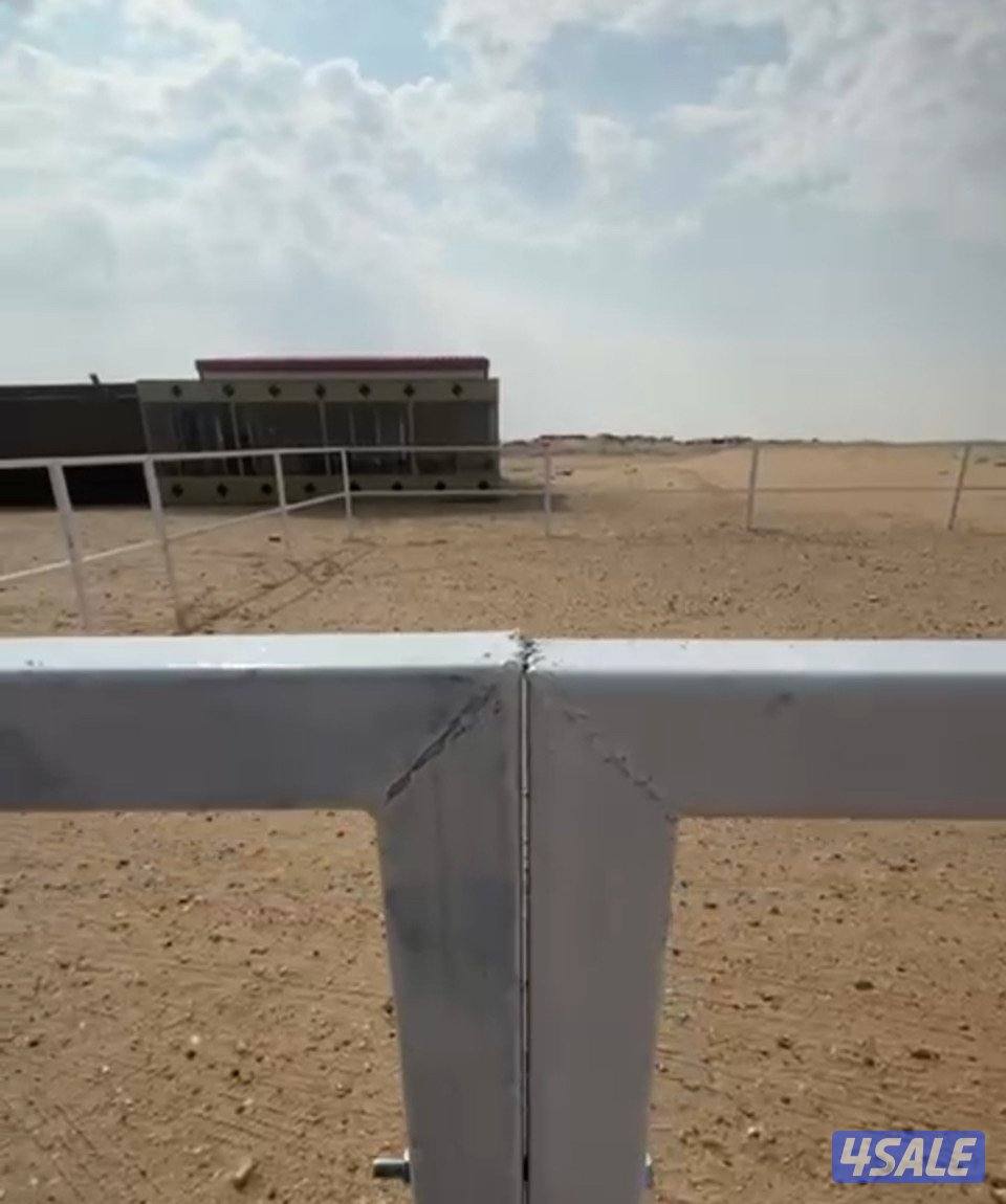 بادوك خيل 12/12 تفصال احترافي حديد 40/40 ممكن تغيير حجمه2