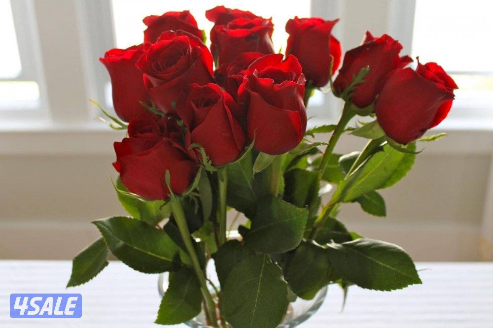 للراغبين بالاستثماري للبيع فيلا في صباح الناصر0