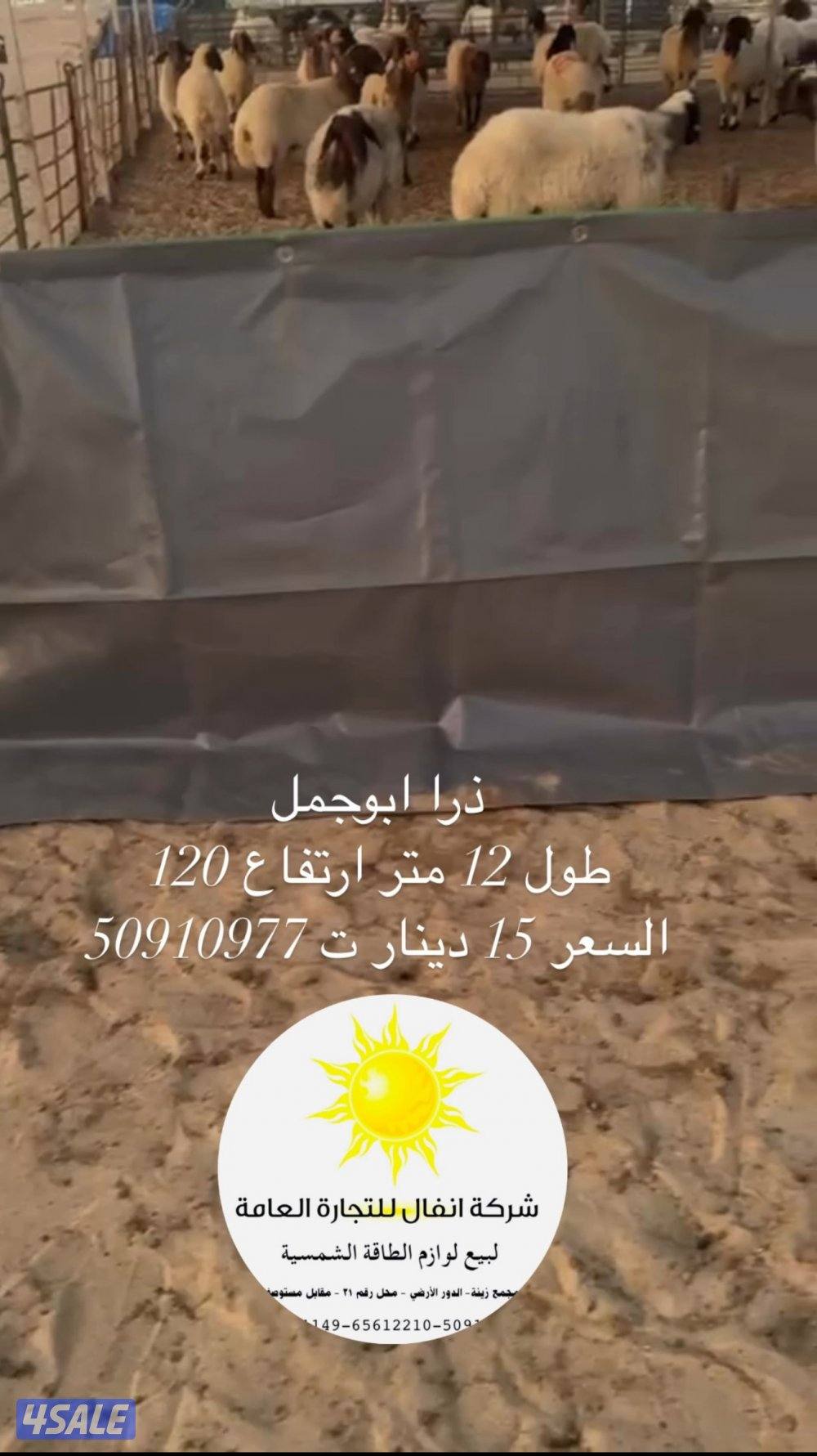 متوفر زرا أحجام مختلفه وجربه ابوجمل خام pVc2