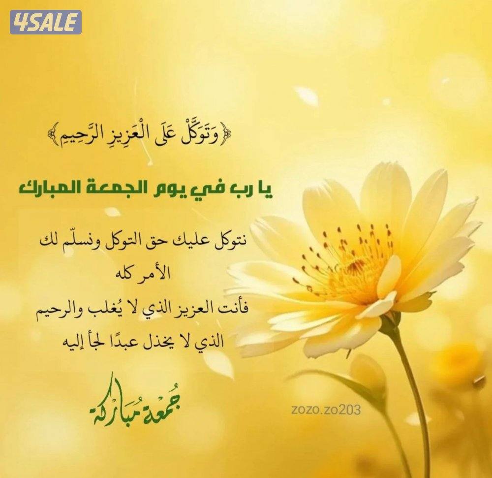 للايجار شقه ارضيه بهديه ٣غرف ٣حمام وصاله ومطبخ0