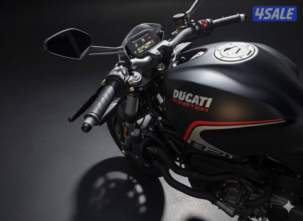 2019 Ducati Monster 821 Dark – 12,388 km6