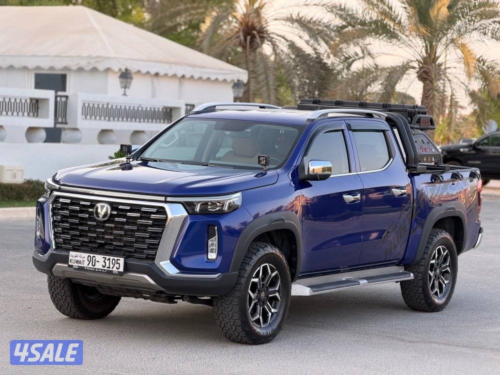 هنتر 2025 (( صبغ الوكاله بالكامل ))0