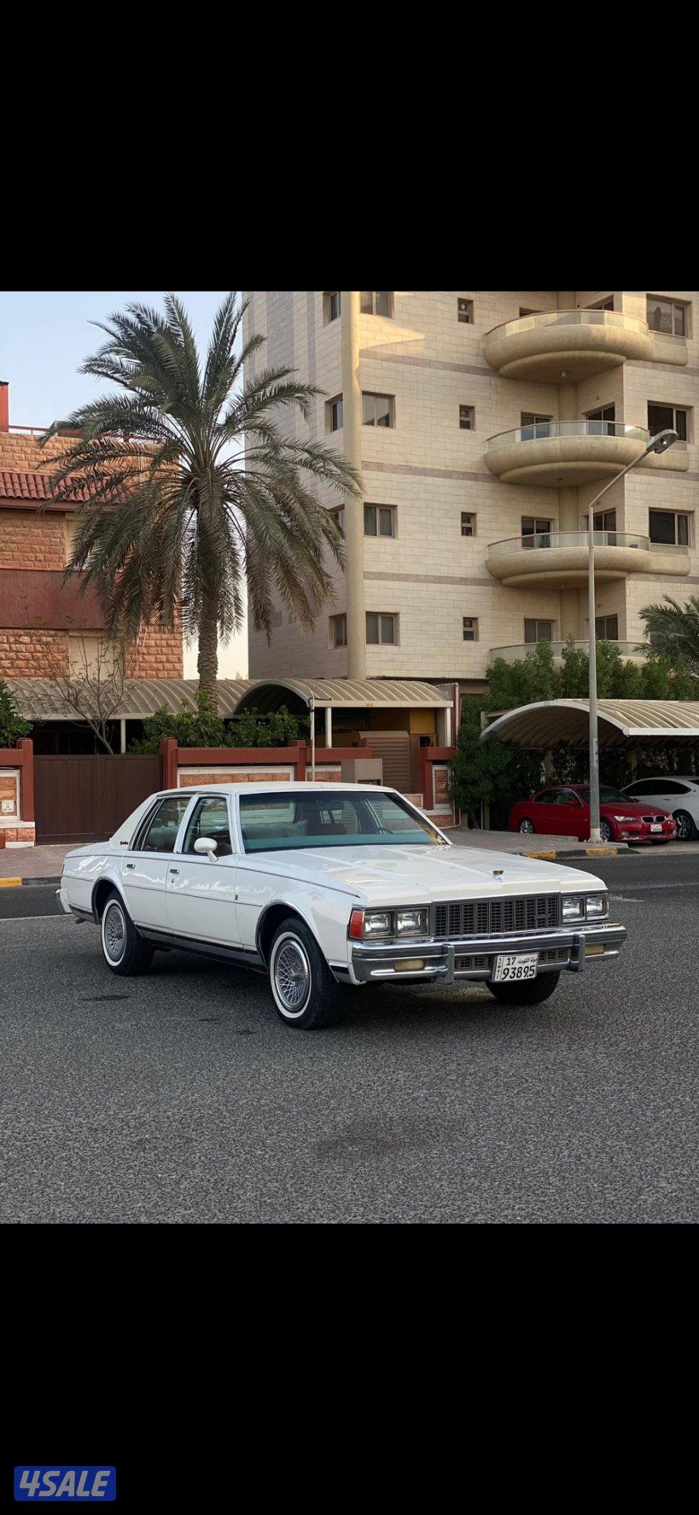 شفر كابرس الغانم 19790